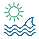 SEO Services Wollongong